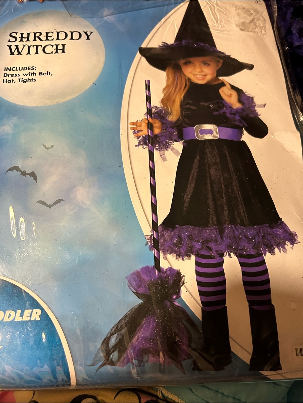 Roxy Black and Purple Shreddy Witch Costume with Hat